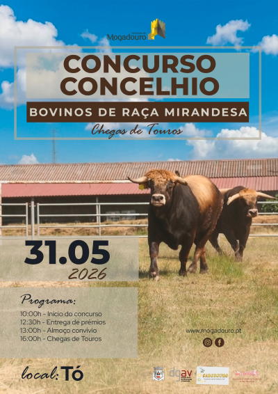 Concurso Concelhio de Raça Bovina Mirandesa Regressa à aldeia de Tó