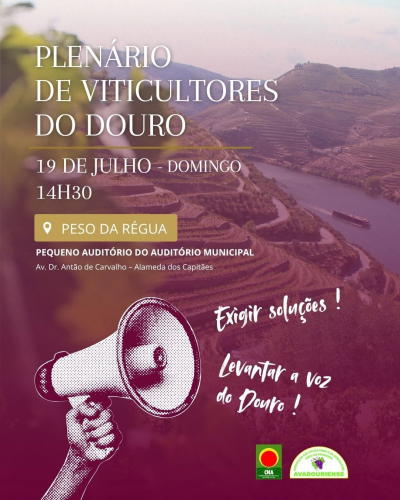 Plenário de viticultores do Douro debate preço das uvas, benefício e aguardente