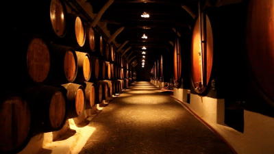 Douro prevê aumento de produção de vinho em ano marcado pela incerteza