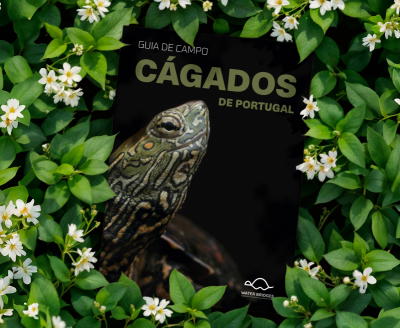 Associação Palombar lança primeiro guia de campo dedicado aos cágados em Portugal