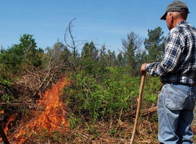 Trabalhos de limpeza são principal causa de fogos nas Terras de Trás-os-Montes