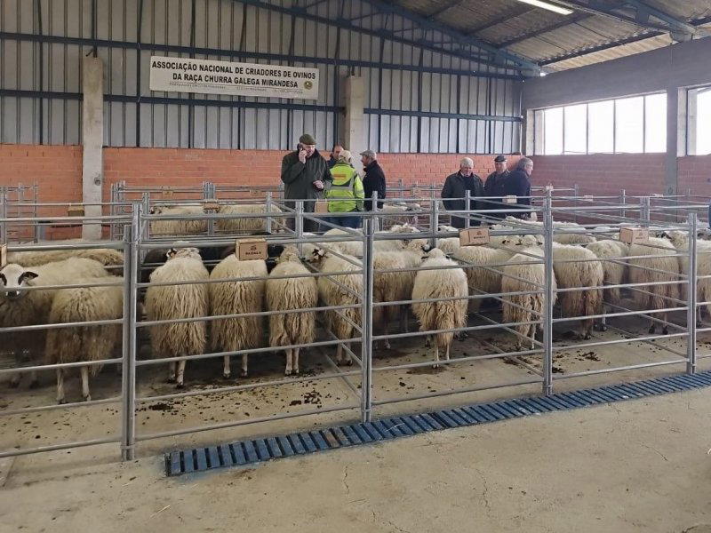 Organizações agrícolas de Trás-os-Montes e Alto Douro pedem medidas urgentes ao Governo