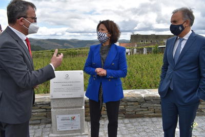 Sabrosa transforma EM 323 numa via panorâmica sobre o Douro Interior