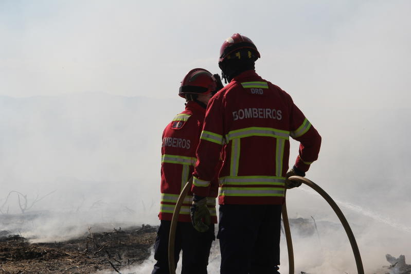 Dois suspeitos de incêndio florestal identificados pela GNR