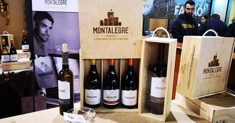 Sem tradição nos vinhos, Montalegre ganha a vinha mais alta de Portugal