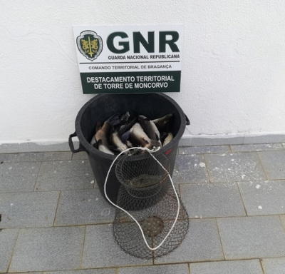 GNR identificou um homem de 40 anos por pesca ilegal