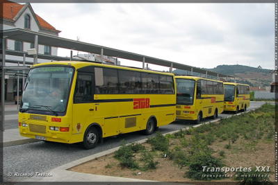 Nova rede de transportes nas Terras de Trás-os-Montes no início de 2020