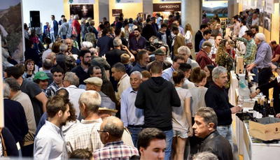 Moncorvo promove vinhos do concelho através de festival em setembro