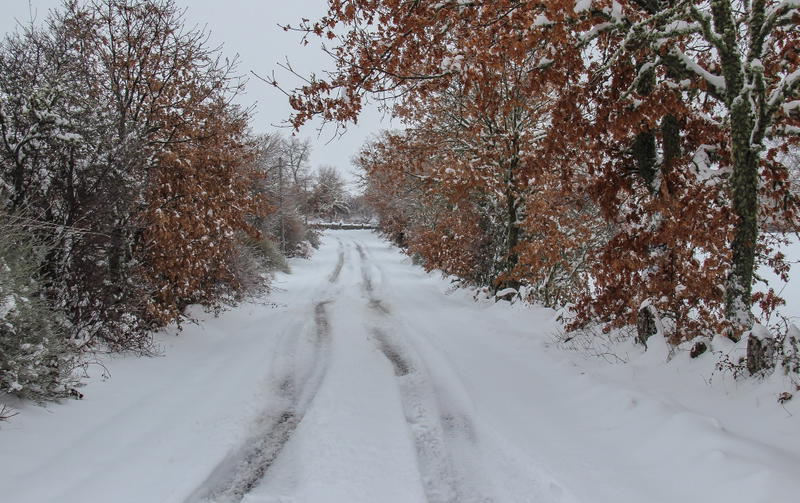 Distrito de Vila Real passa dos incêndios para a neve em poucas horas