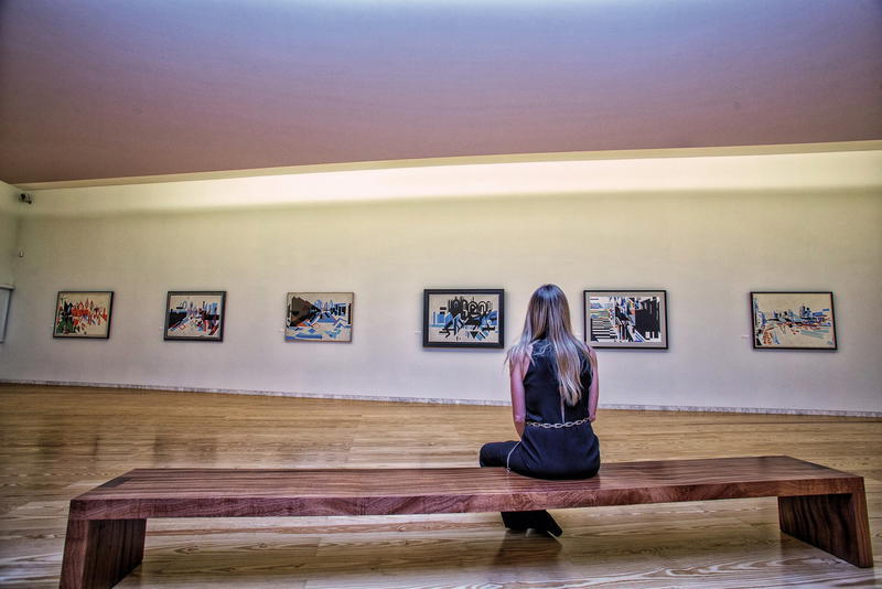Museu de Arte Contemporânea Nadir Afonso nomeado para prémio