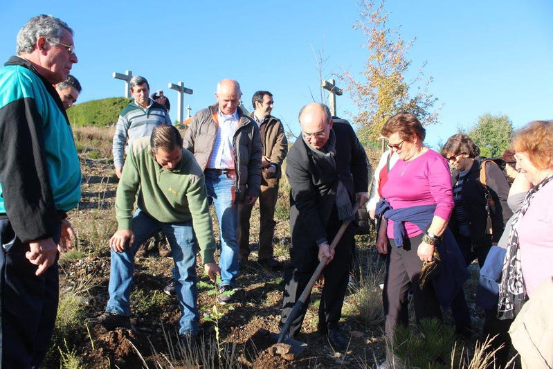 Ribeira de Pena participou na VII edição da Reflorestação Nacional
