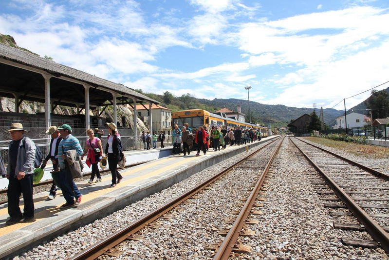 "Nenhum plano de modernização da linha do Douro foi cumprido"