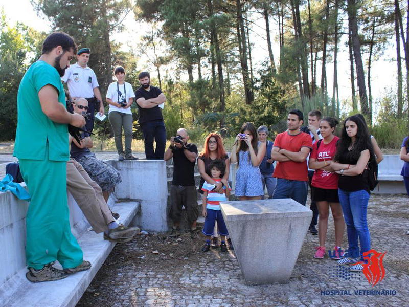 Universidade de Vila Real socorreu 350 animais selvagens este ano