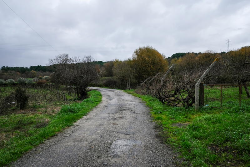 A transformação da Linha do Corgo