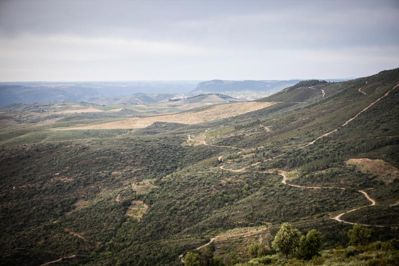 Calçada de Alpajares na rota dos Caminhos de Santiago