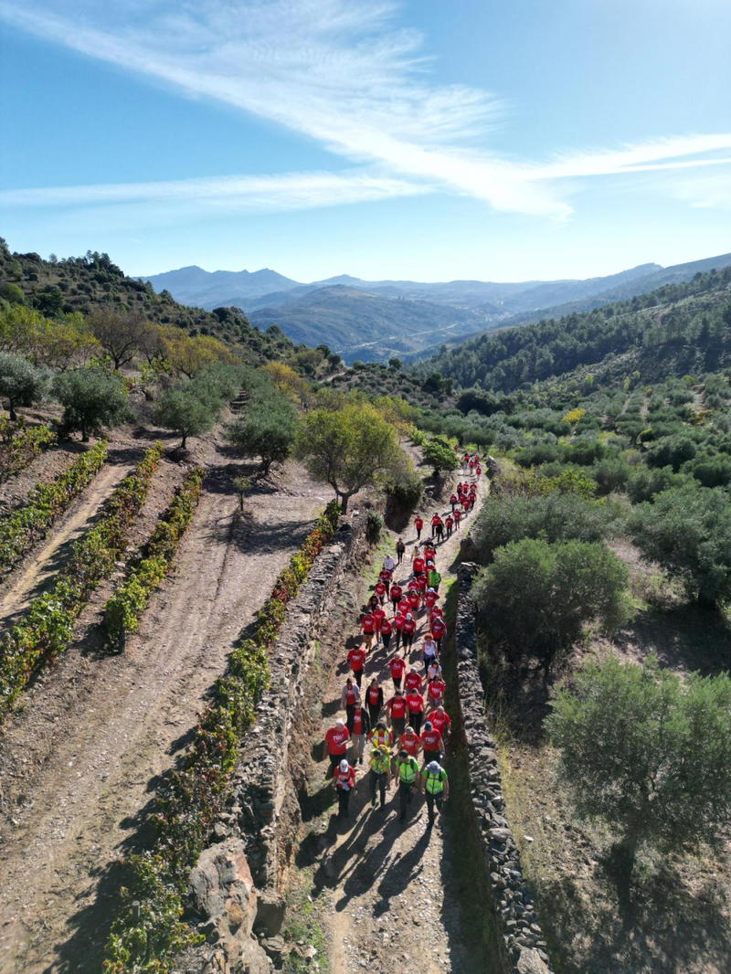 Tua Walking Festival esta de regresso e aumenta número de inscrições