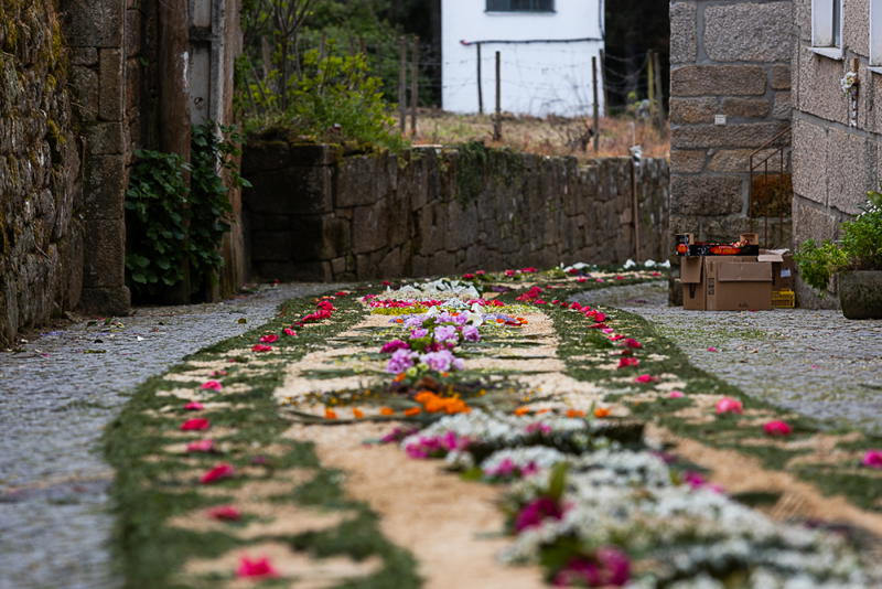 Tapete de flores na Festa à Padroeira Nossa Senhora dos Prazeres