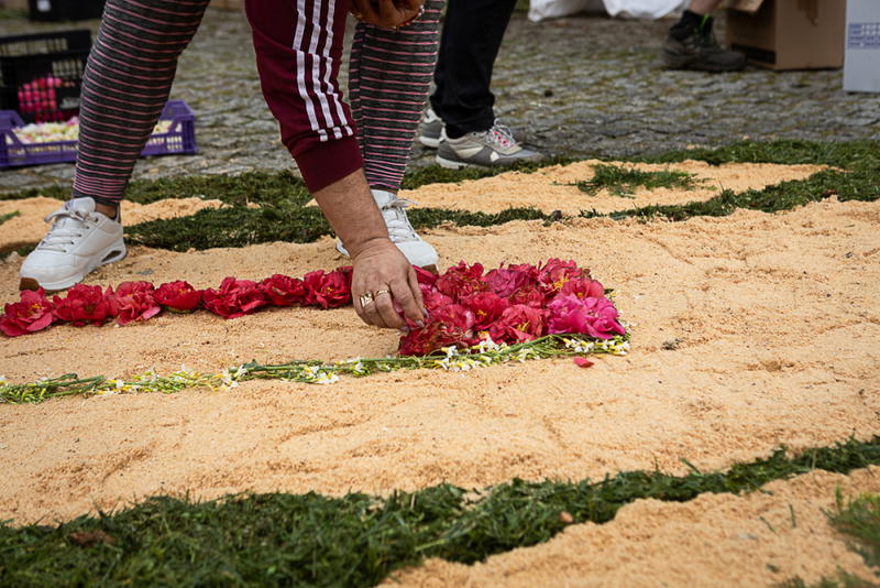Tapete de flores na Festa à Padroeira Nossa Senhora dos Prazeres