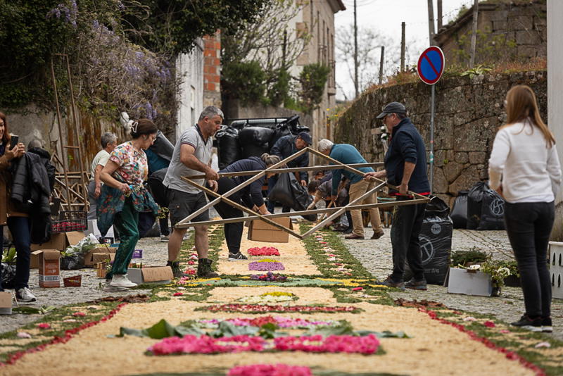 Tapete de flores na Festa à Padroeira Nossa Senhora dos Prazeres