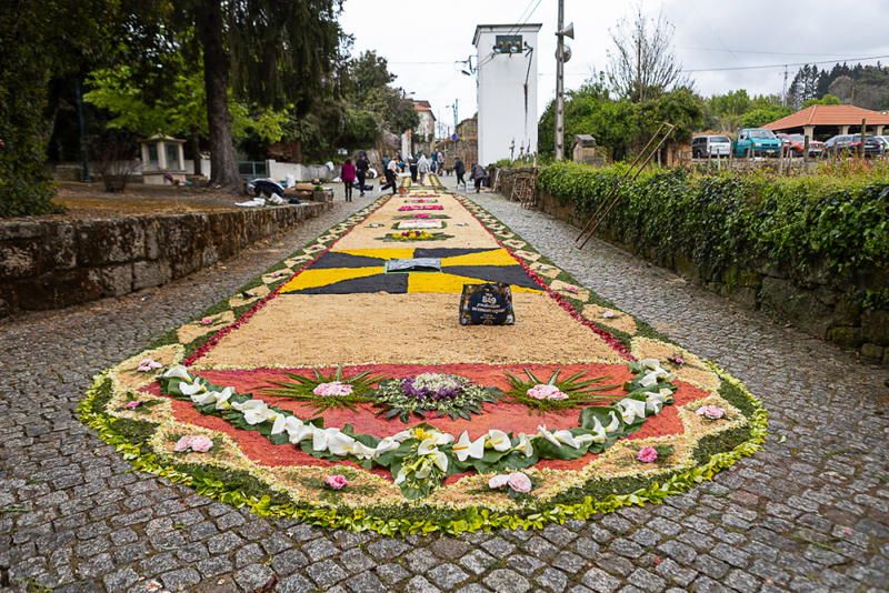 Tapete de flores na Festa à Padroeira Nossa Senhora dos Prazeres