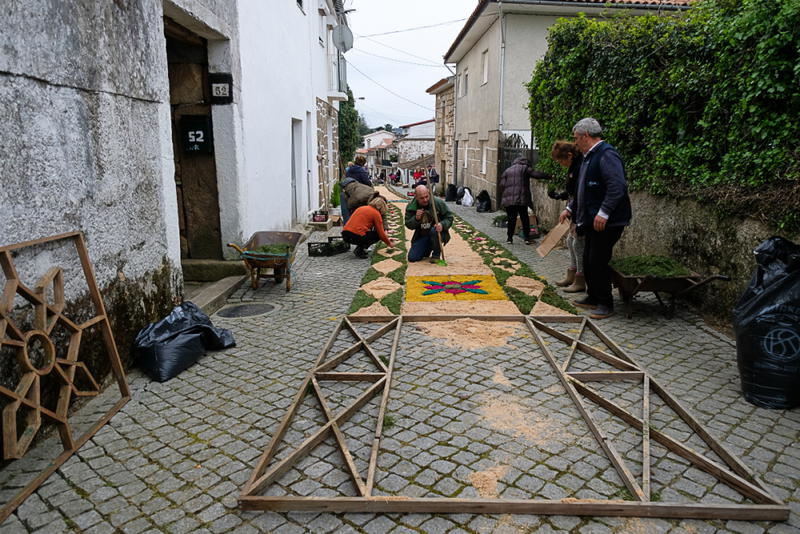 Tapete de flores na Festa à Padroeira Nossa Senhora dos Prazeres