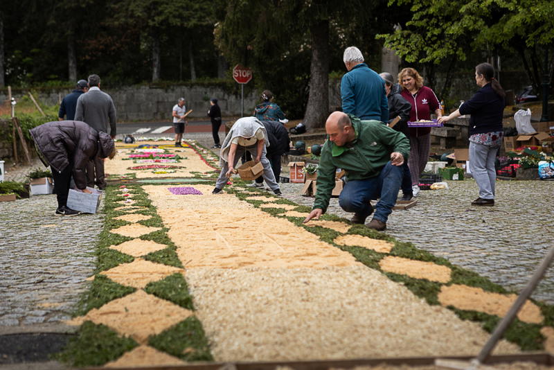 Tapete de flores na Festa à Padroeira Nossa Senhora dos Prazeres