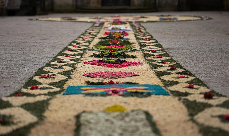 Tapete de flores na Festa à Padroeira Nossa Senhora dos Prazeres
