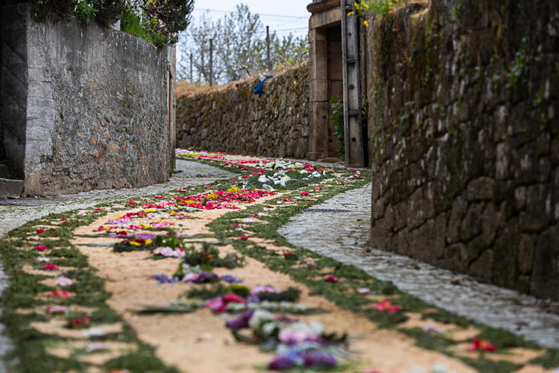 Tapete de flores na Festa à Padroeira Nossa Senhora dos Prazeres