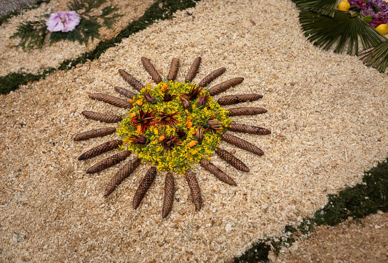 Tapete de flores na Festa à Padroeira Nossa Senhora dos Prazeres