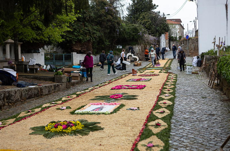 Tapete de flores na Festa à Padroeira Nossa Senhora dos Prazeres