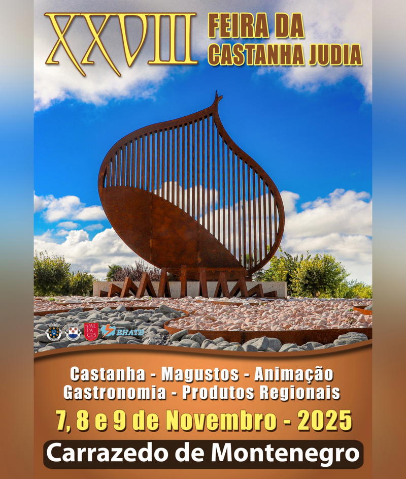 Produção de castanha deve triplicar este ano em Valpaços
