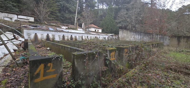 Antigo viveiro das trutas em Bragança será transformado em centro interpretativo