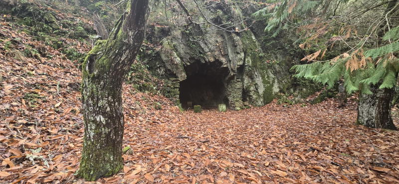 Antigo viveiro das trutas em Bragança será transformado em centro interpretativo