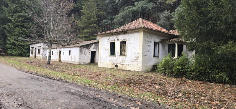 Antigo viveiro das trutas em Bragança será transformado em centro interpretativo