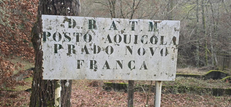 Antigo viveiro das trutas em Bragança será transformado em centro interpretativo