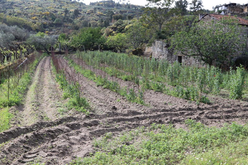 Cachão, uma aldeia abandonada!