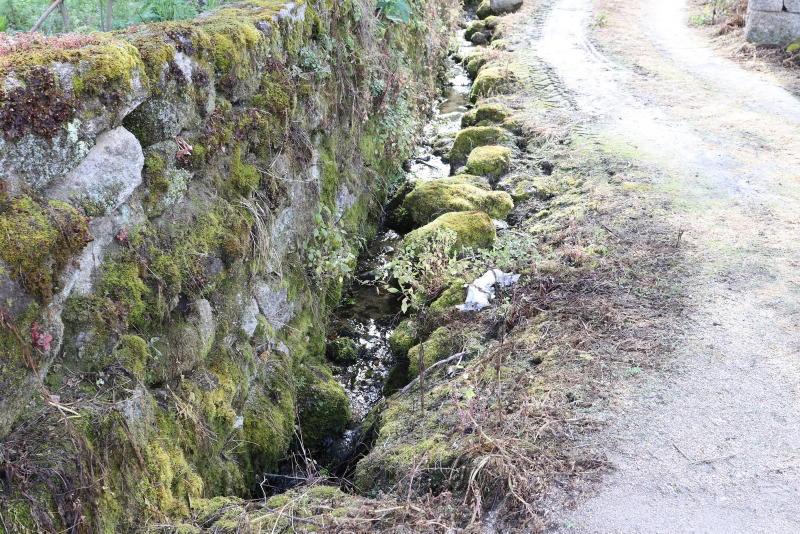 Cachão, uma aldeia abandonada!