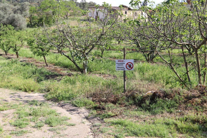 Cachão, uma aldeia abandonada!
