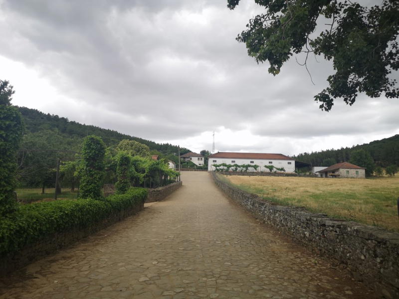 Macedo de Cavaleiros procura vencer a desertificação com o turismo  
