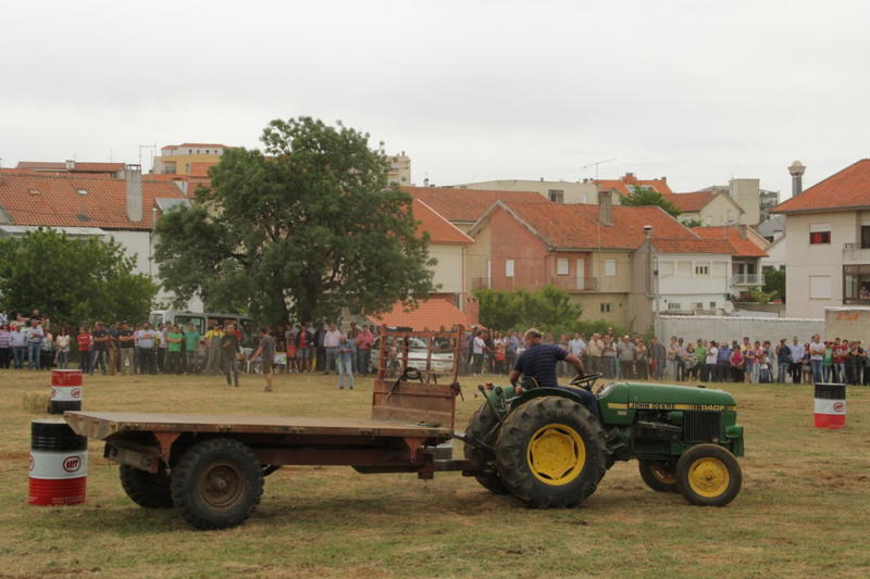 Macedo de Cavaleiros procura vencer a desertificação com o turismo  