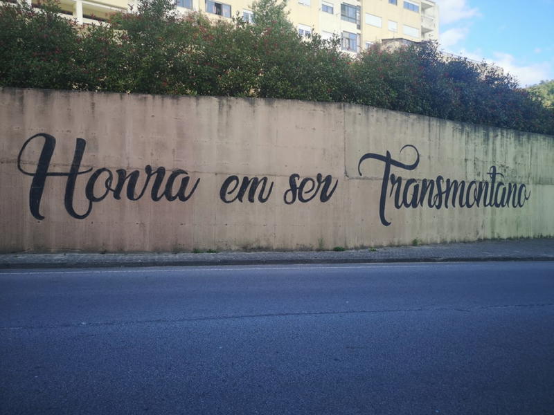 Empresas aumentam em Vila Pouca de Aguiar apesar da perda de população.