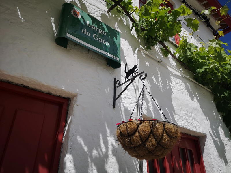 Montalegre atrai cada vez mais turismo