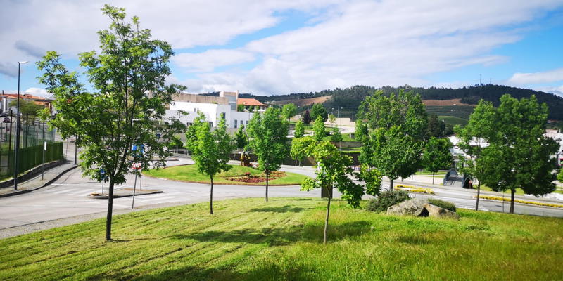 A vila de Murça consegue atrair mais empresas e estrangeiros para o concelho.