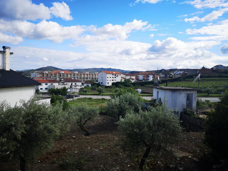 A vila de Murça consegue atrair mais empresas e estrangeiros para o concelho.