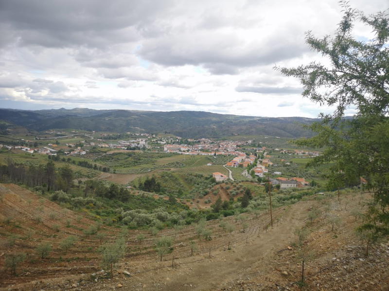 A vila de Murça consegue atrair mais empresas e estrangeiros para o concelho.