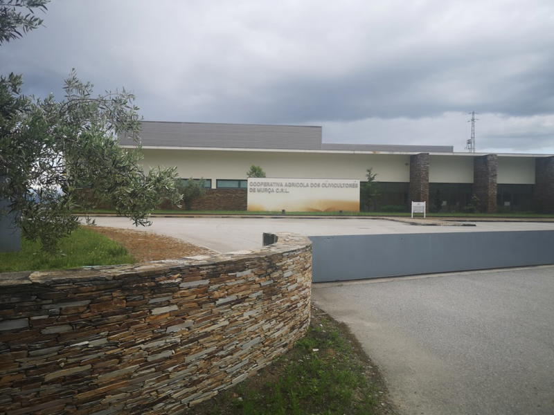 A vila de Murça consegue atrair mais empresas e estrangeiros para o concelho.