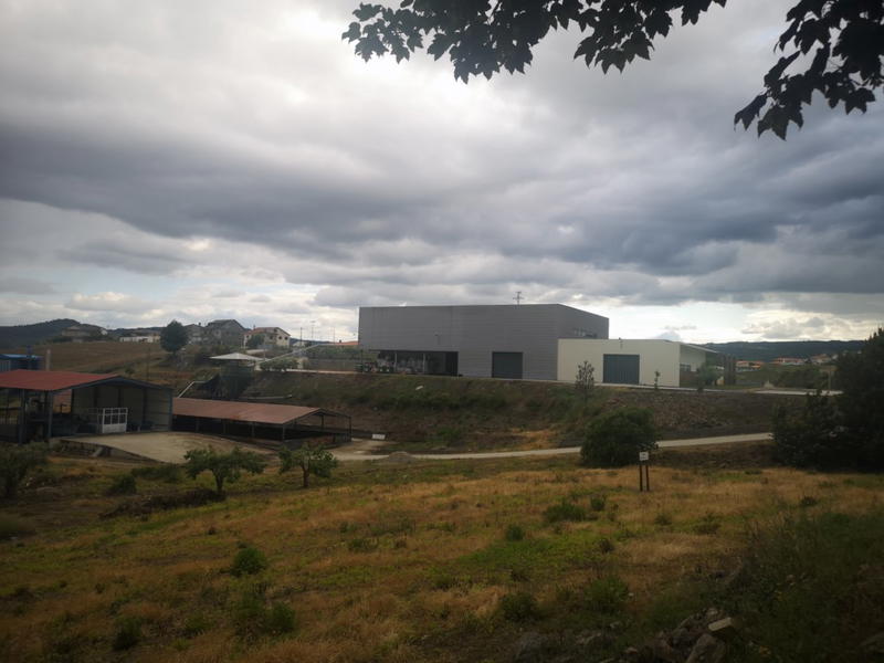A vila de Murça consegue atrair mais empresas e estrangeiros para o concelho.