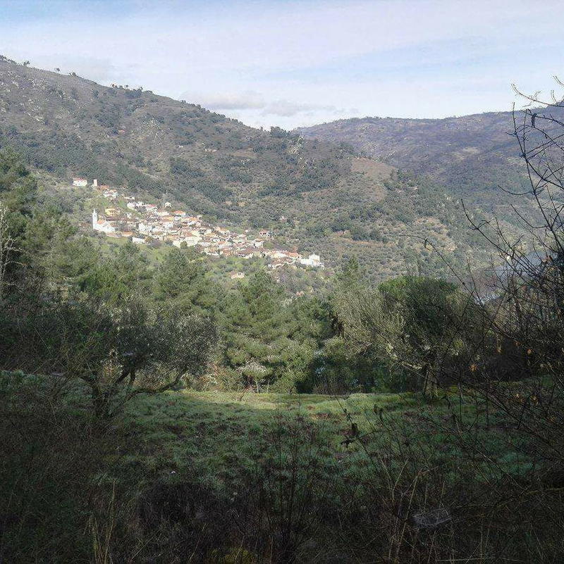 Amieiro recorda como sete colinas e fogueiras protegeram aldeia da pneumónica