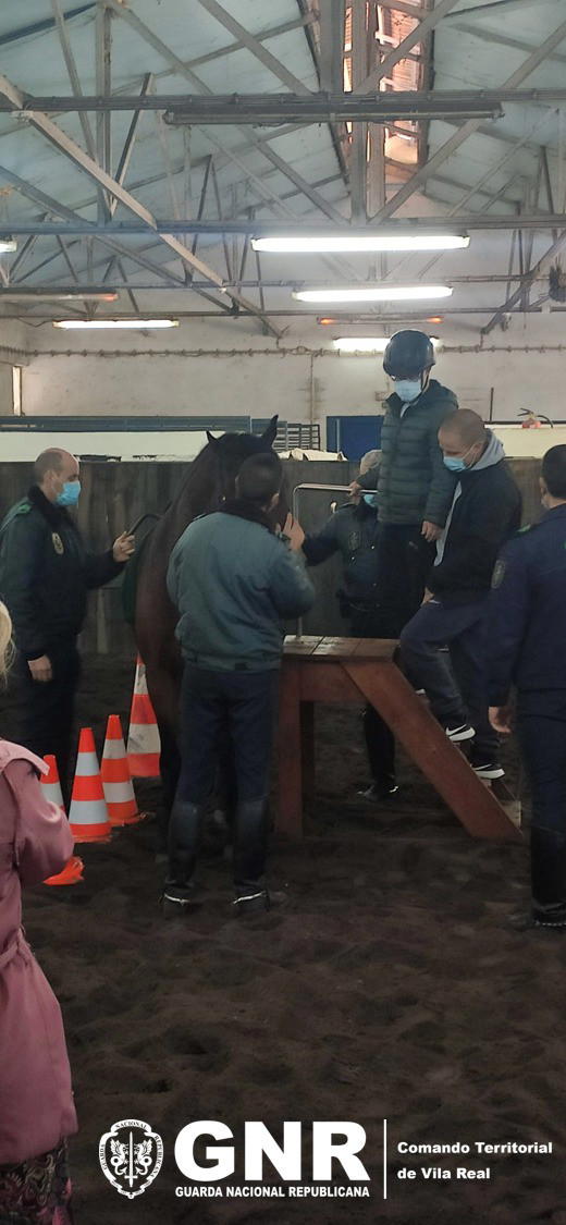 Picadeiro da GNR abre portas para sessões de hipoterapia em Chaves
