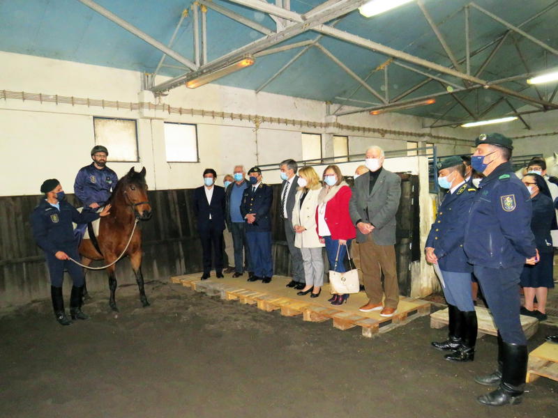 Picadeiro da GNR abre portas para sessões de hipoterapia em Chaves